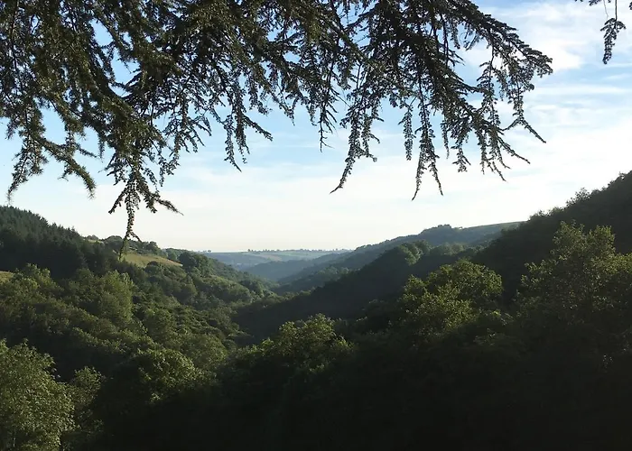 Le Clos Des Lucioles