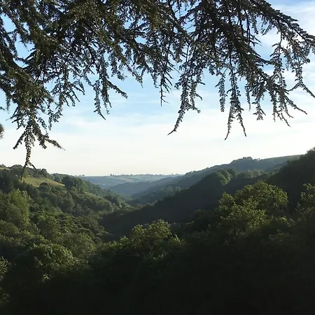 Le Clos Des Lucioles